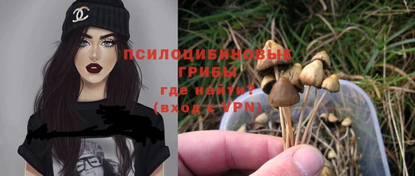 MESCALINE Богородицк