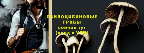 соль ск Бугульма