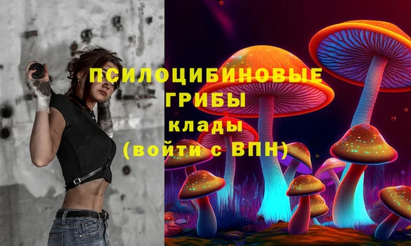 спайс Беломорск
