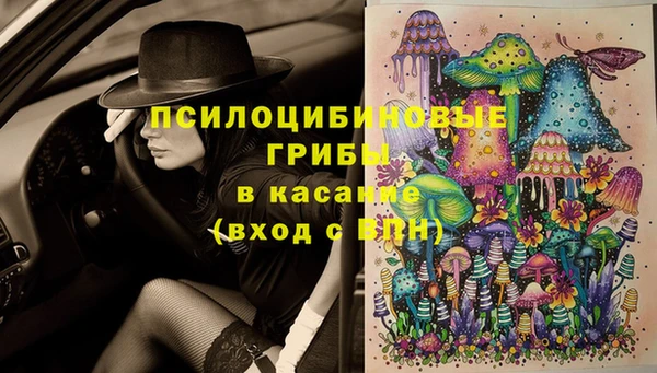 соль ск Бугульма