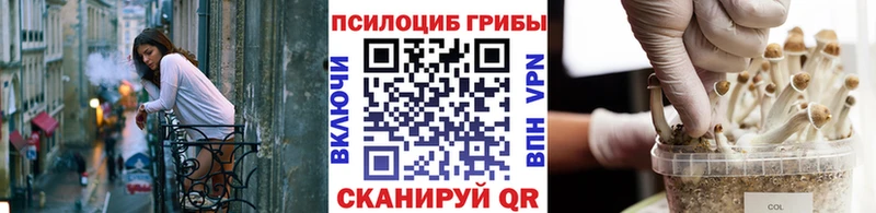 blacksprut ONION  Дальнегорск  Галлюциногенные грибы GOLDEN TEACHER 