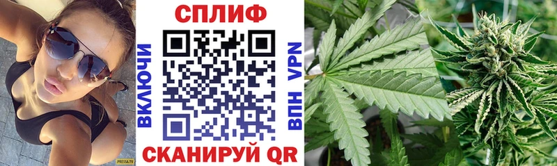 купить наркоту  Дальнегорск  Конопля THC 21% 